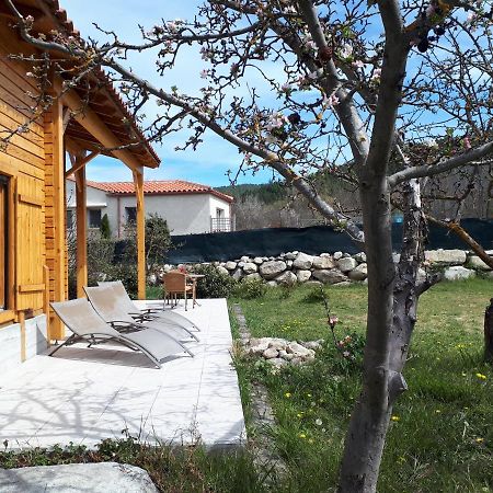 Chalet Mont Canigo Villa Corneilla-de-Conflent Esterno foto